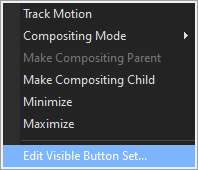 edit visible button set