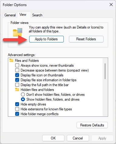 windows-11-file-folder-options.jpg